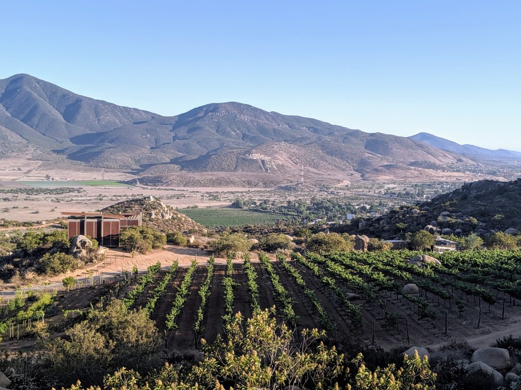 Valle de Guadalupe guide Mexico wine route Wine Scribes